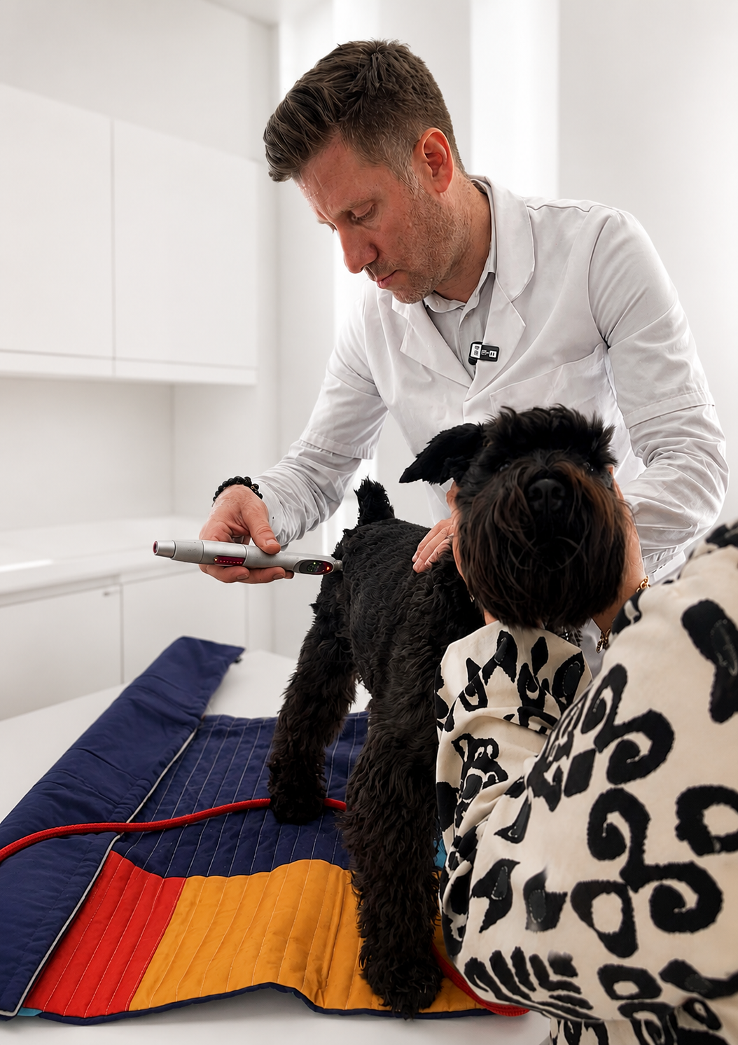 Séance de bien-être PAWARA — méthode NéoQi® sur un chien