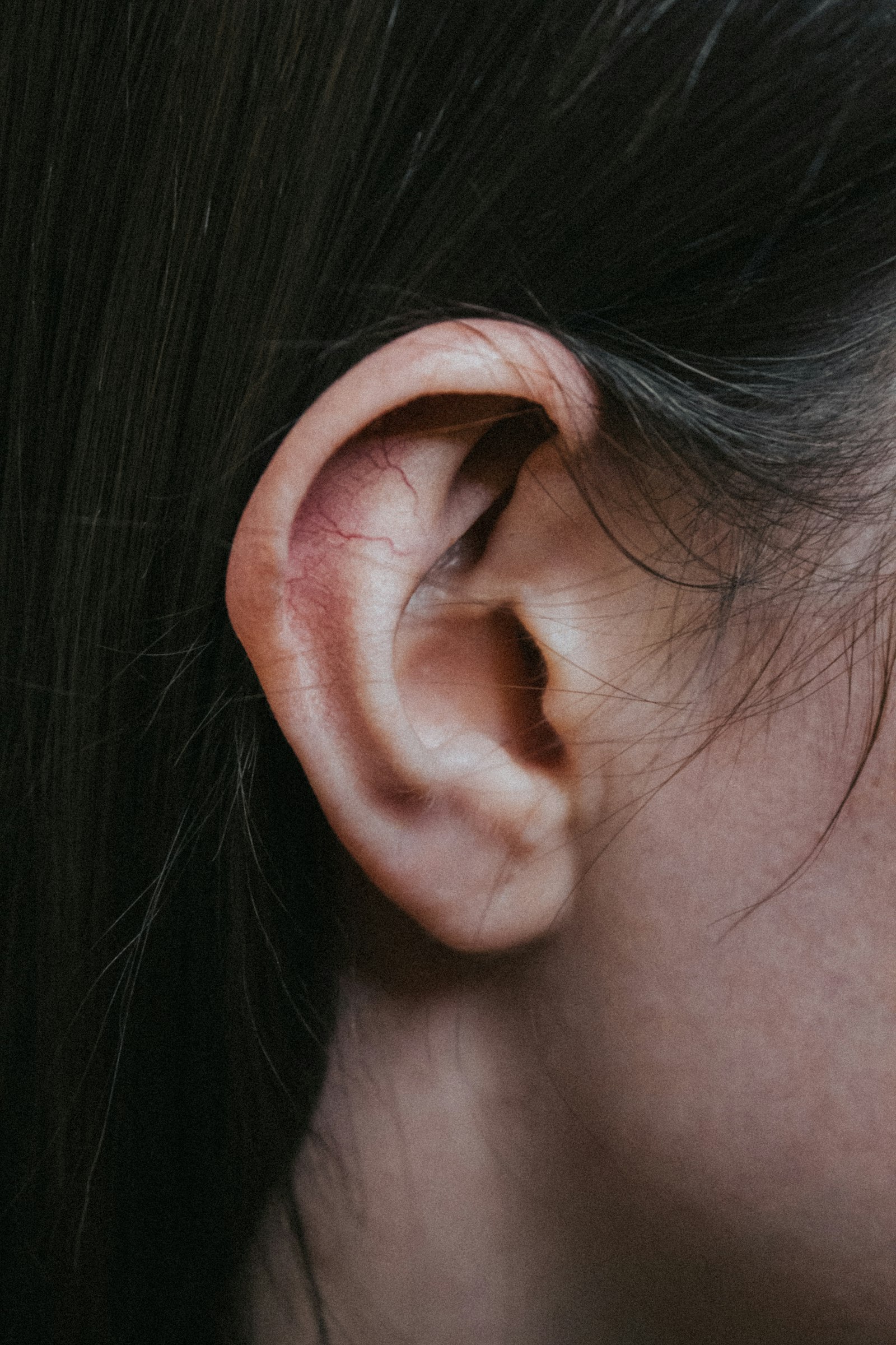 Gros plan sur une oreille