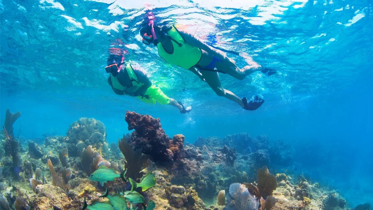 Young man and woman snorkeling in clear water over the coral reef.