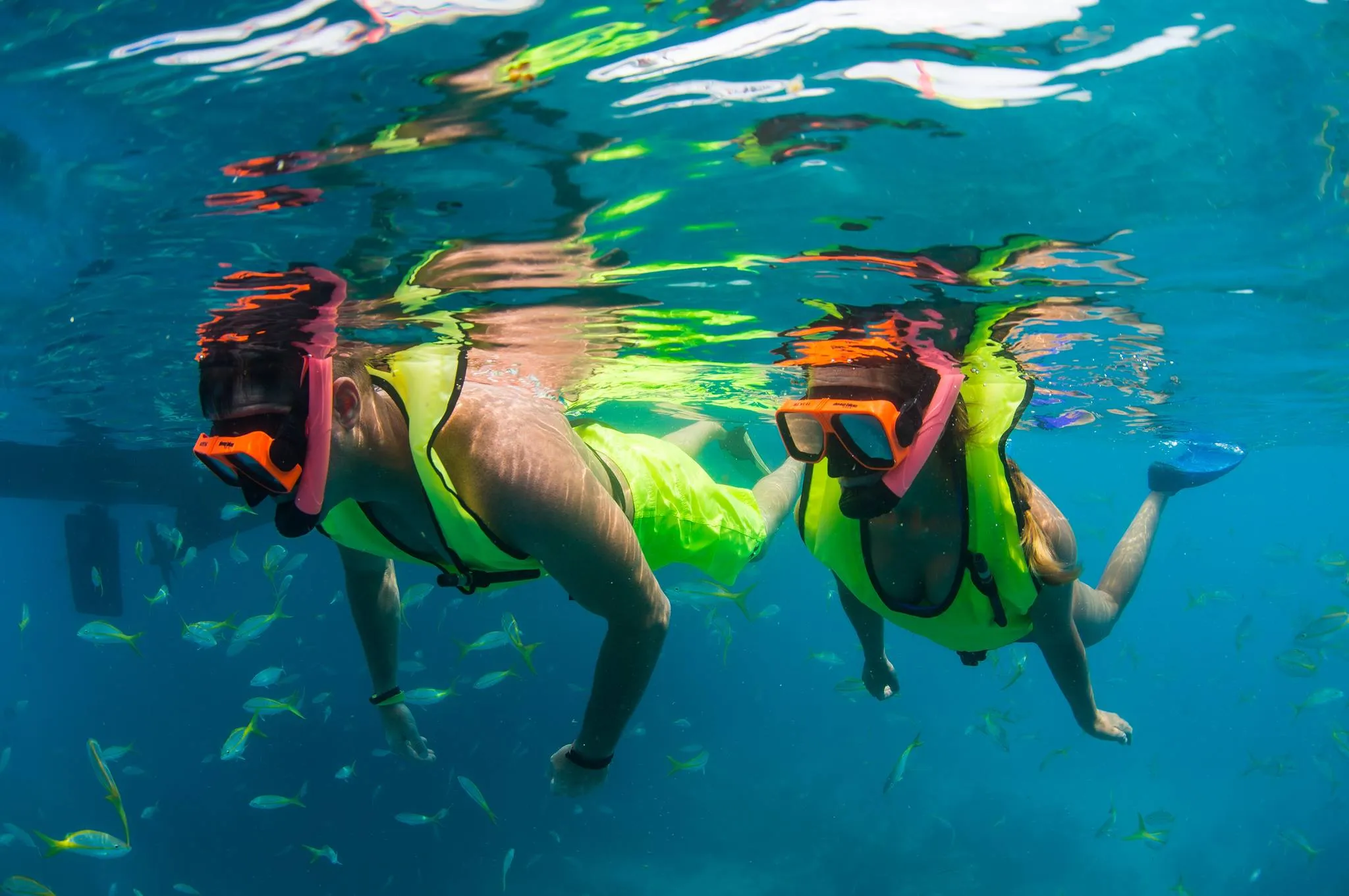 Man and women snorkeling at the top of the water. 