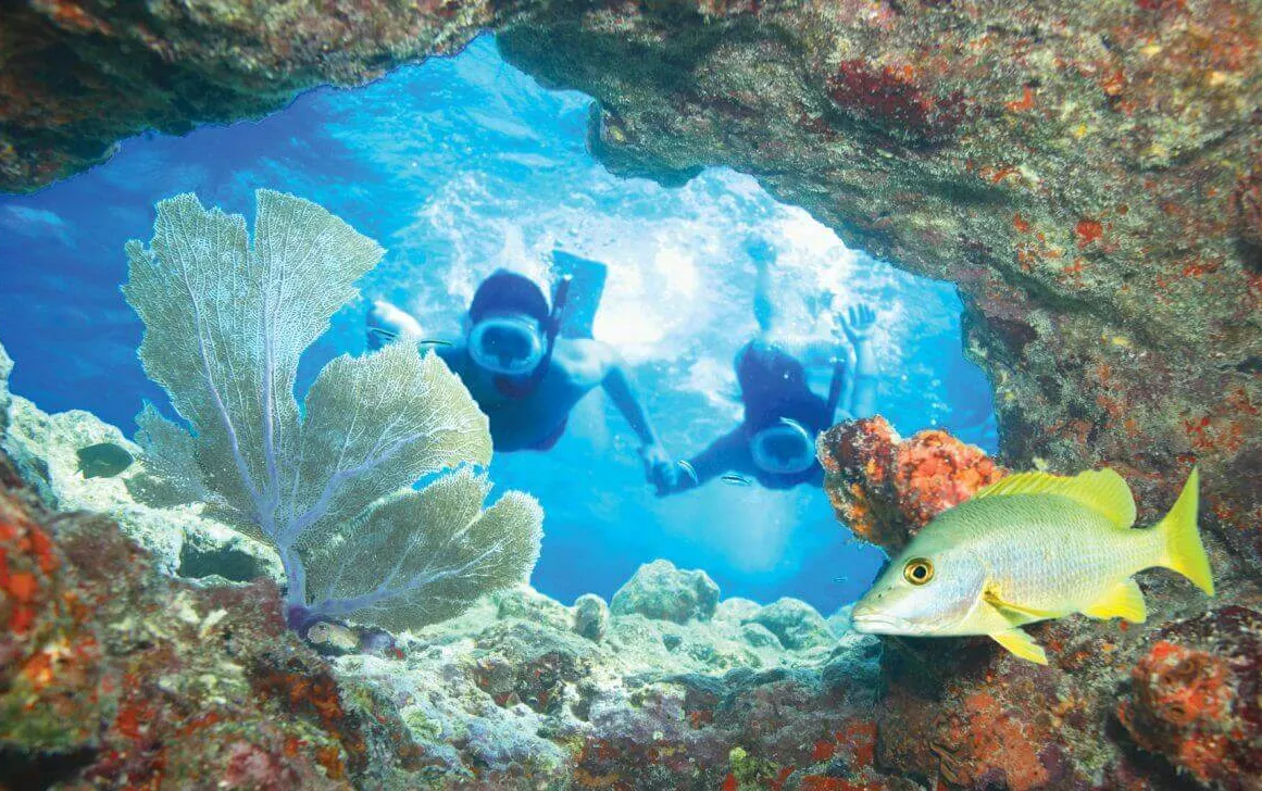 Underwater photo of a man and women looking into a coral cave with fish nearby.