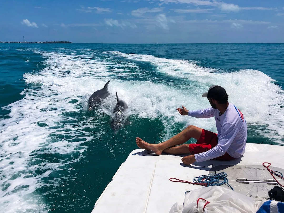 Two dolphins jump out of the water, while following the boat.