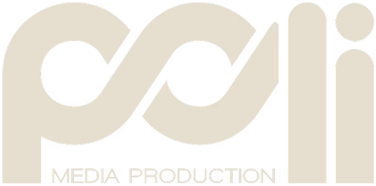 Logo with stylized lowercase letters 'polli' and the words 'MEDIA PRODUCTION' below.