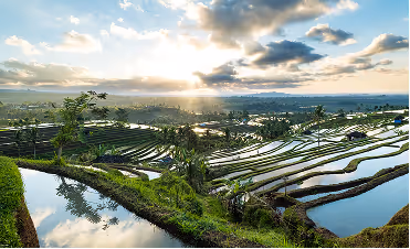 Sunset over lush green terraced rice fields reflecting the sky in water pools.