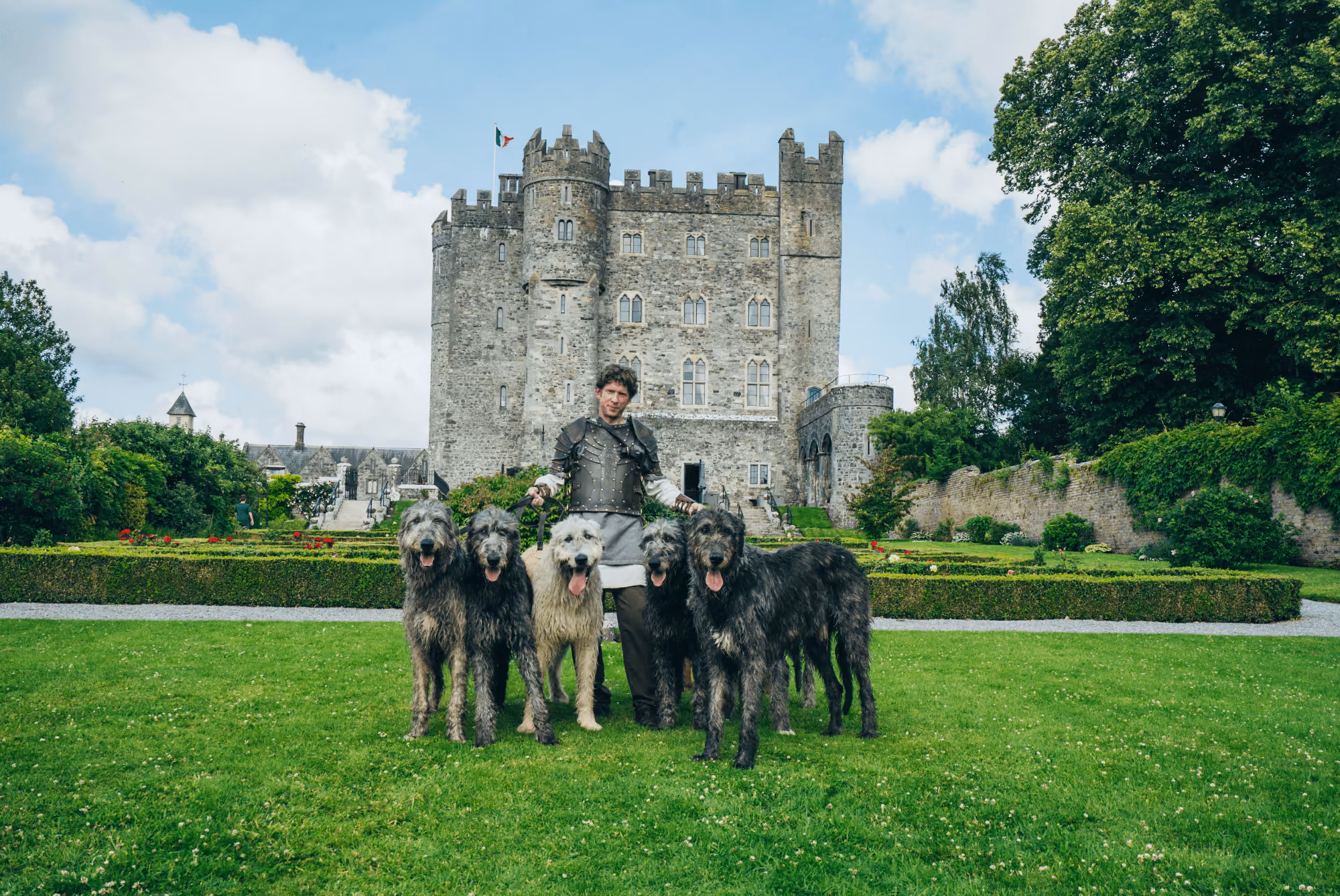 Man in medieval armor standing on lawn in front of stone castle with five large dogs.