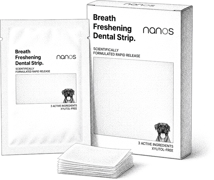 Stipple illustration of a kangaroo, a cricket and a black soldier fly, three alternative protein sources used in pet food