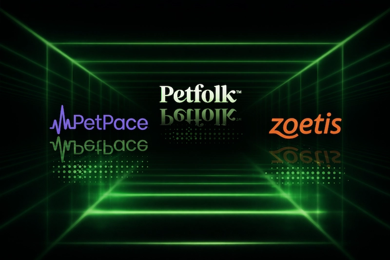 AI in Pet Care: Which Applications Actually Work