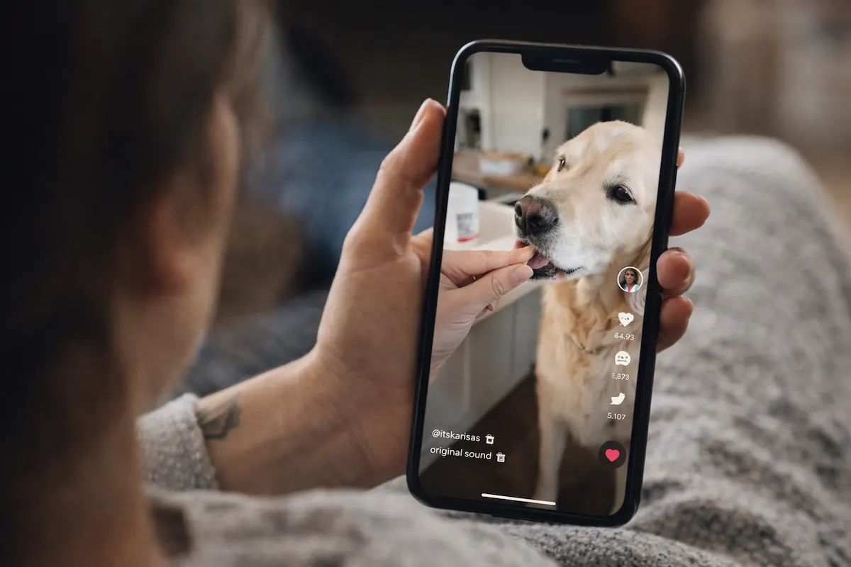 63% of Pet Owners Follow Influencers. Most Campaigns Still Fail.
