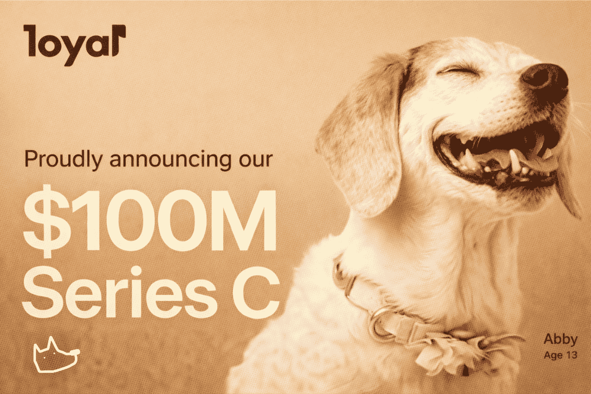 Loyal Raises $100M to Bring the First Canine Longevity Drug to Market