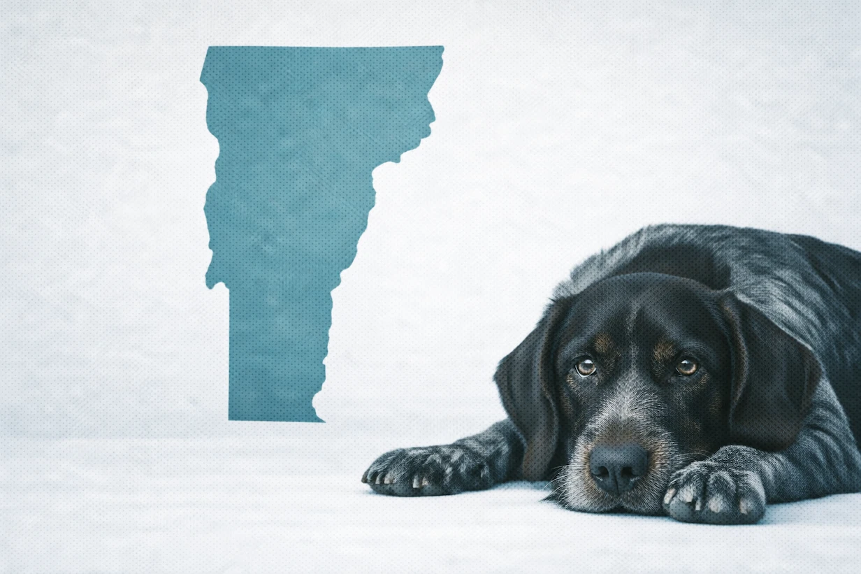 The $1,700 Dog Ownership Gap: Why Regional Cost Data Should Shape Your Pricing Strategy