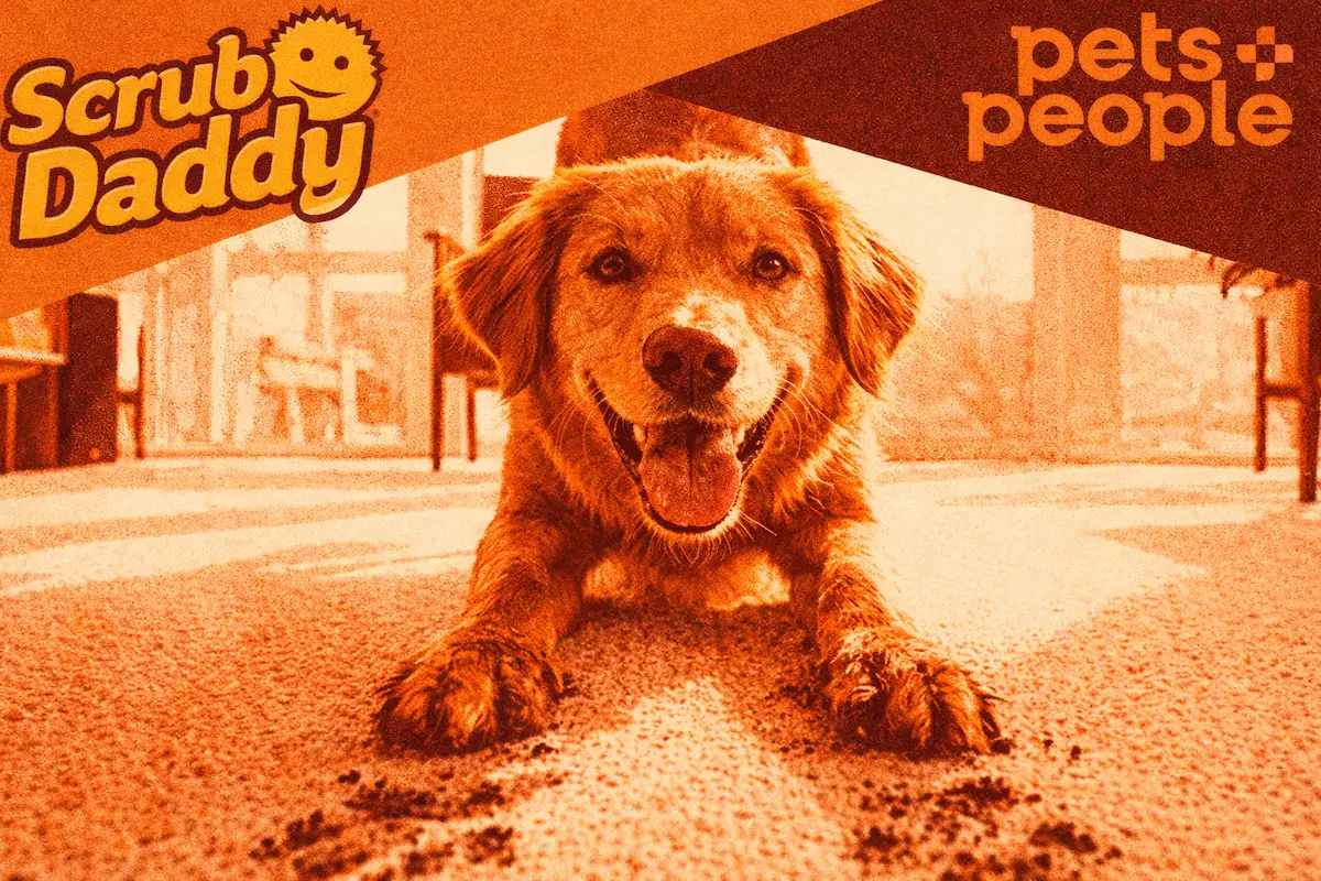 Scrub Daddy Enters Pet Through Licensing Deal, Signaling Mainstream Brand Migration