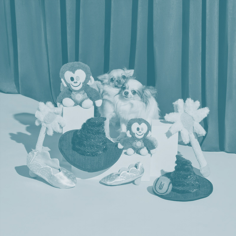 BARK's 1-for-20 Reverse Split Is a Survival Move. The DTC Pet Reckoning Continues.