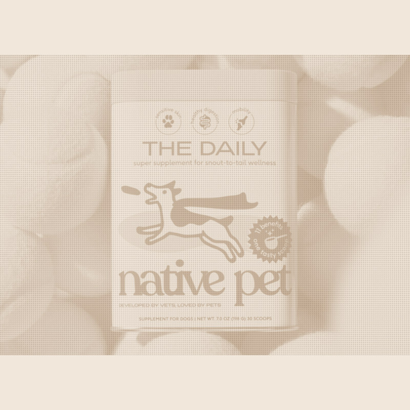 Native Pet Bolsters Operations and R&D With Executive Hires