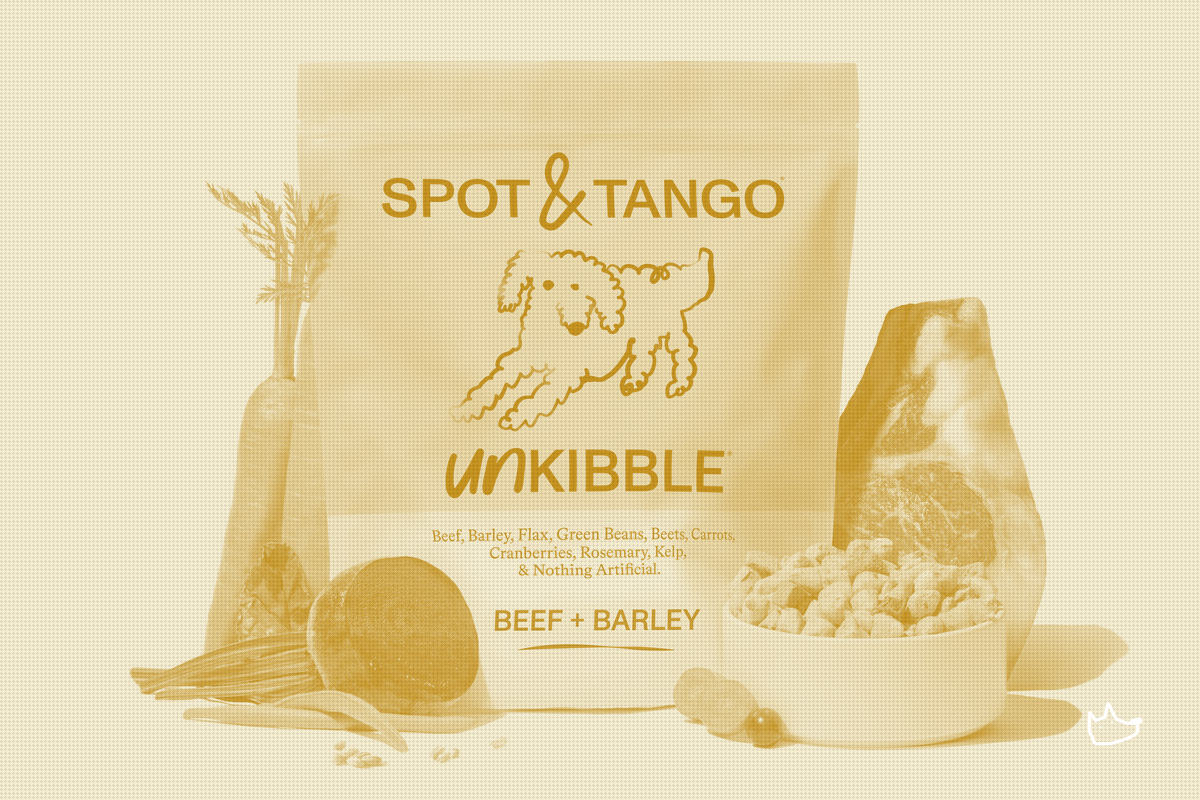 Spot & Tango Makes Its First Above-the-Line Push as DTC Fresh Food Math Shifts