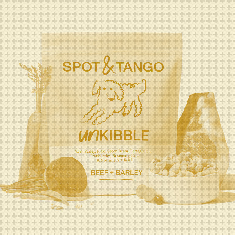Spot & Tango Makes Its First Above-the-Line Push as DTC Fresh Food Math Shifts