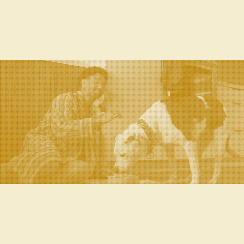 Freshpet Lands a New Brand Platform 48 Hours Before Q1 Earnings as Fresh Rivals Hit Retail