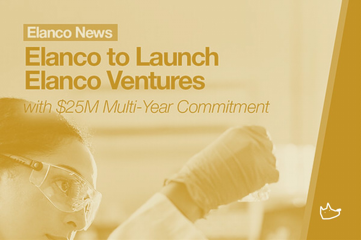 Elanco's New $25M Venture Arm Is Built for Scouting, Not Scale