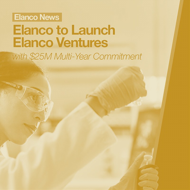 Elanco's New $25M Venture Arm Is Built for Scouting, Not Scale