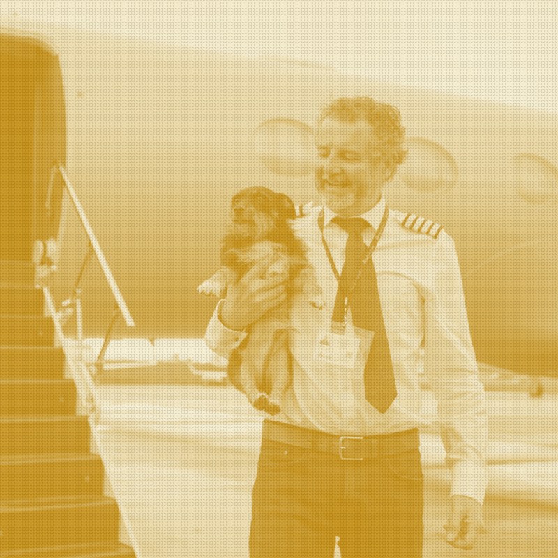 In-Cabin Pet Flights Keep Multiplying. The Moat Is the Paperwork.