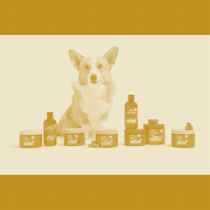 A DTC Supplement Brand Just Took Both Big-Box Pet Chains in One Quarter