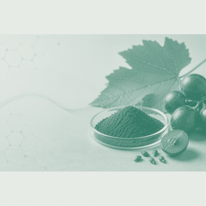 Clean-label kibble is swapping synthetic antioxidants for botanicals, grape seed included