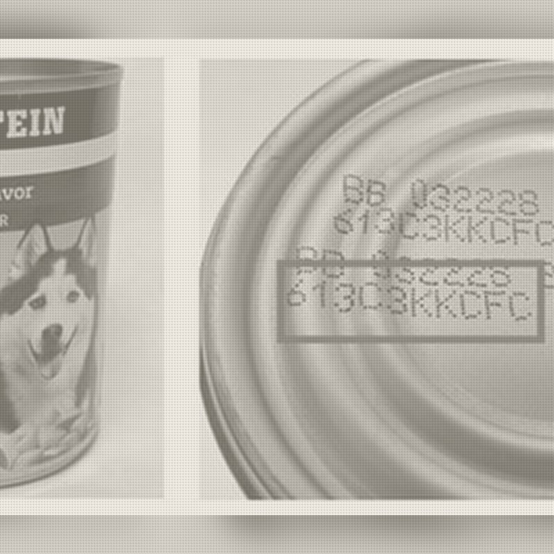 Product marked for destruction ended up back on shelves