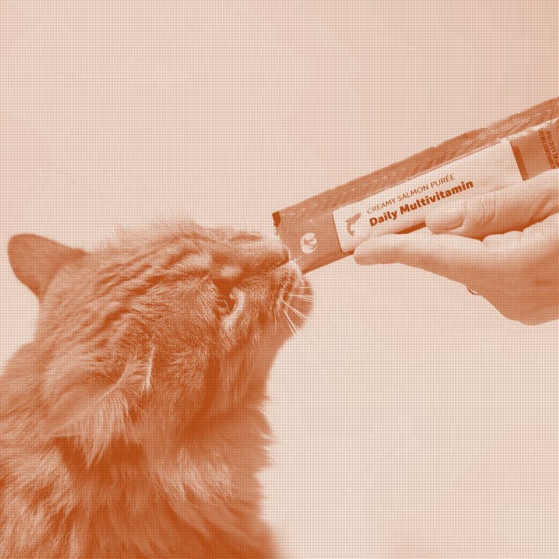 A supplement brand bets that cat compliance is a format problem, not a formula one