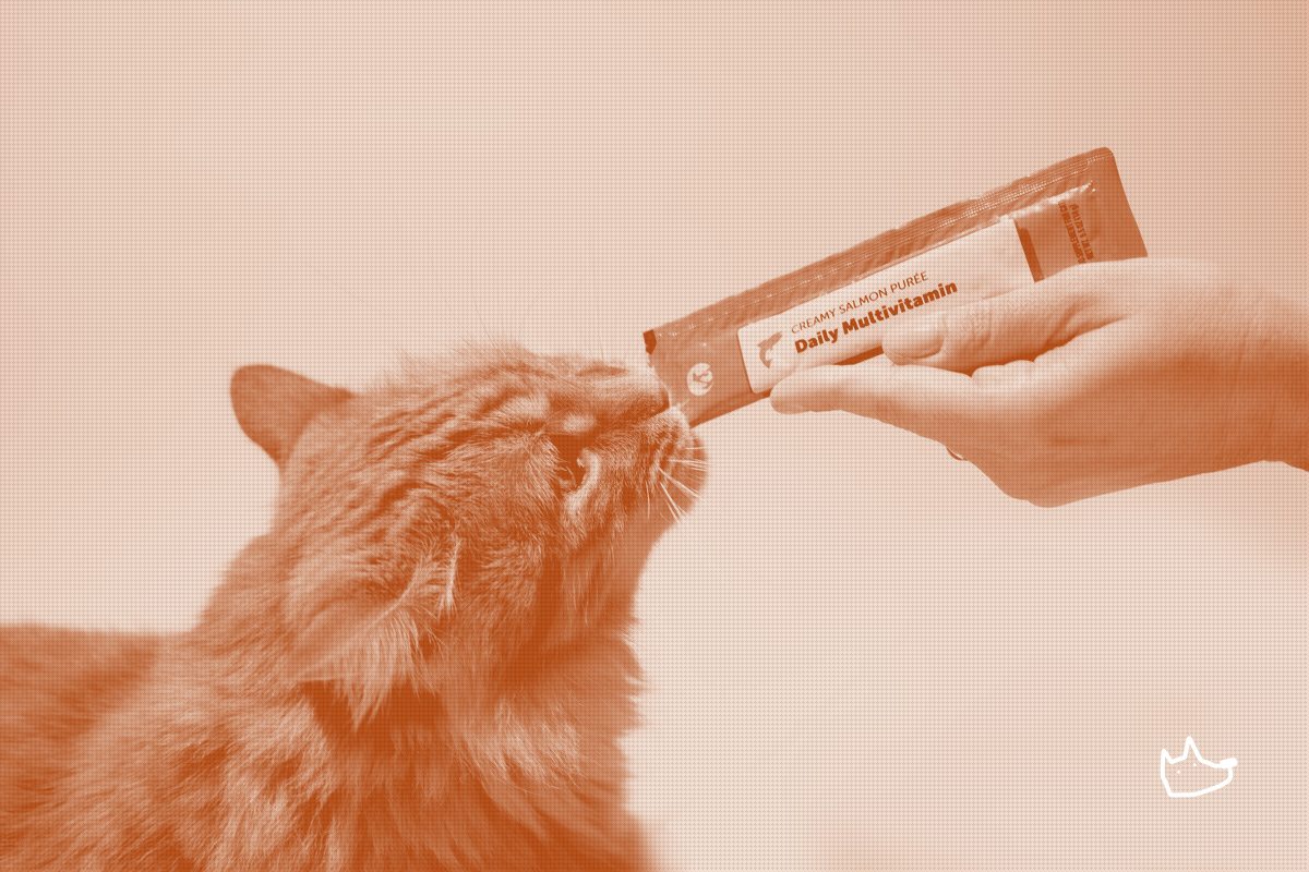 A supplement brand bets that cat compliance is a format problem, not a formula one