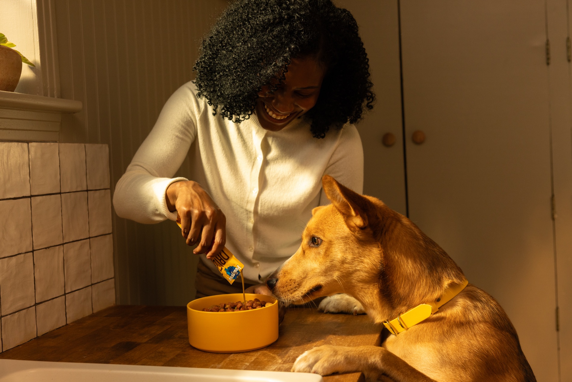PEDIGREE DRIZZLERS moisture topper served over a dog's meal