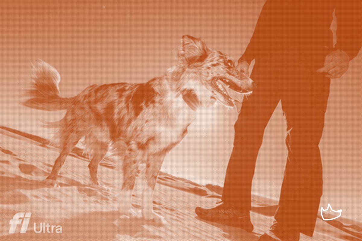 Fi Puts Its Dog Tracker on Starlink Satellites, Betting Connectivity Is the Moat