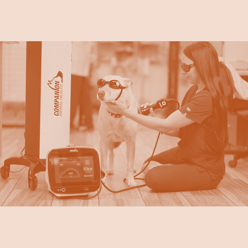 Enovis Refreshes Its Veterinary Laser Flagship as Rehab Hardens Into a Clinic Revenue Line