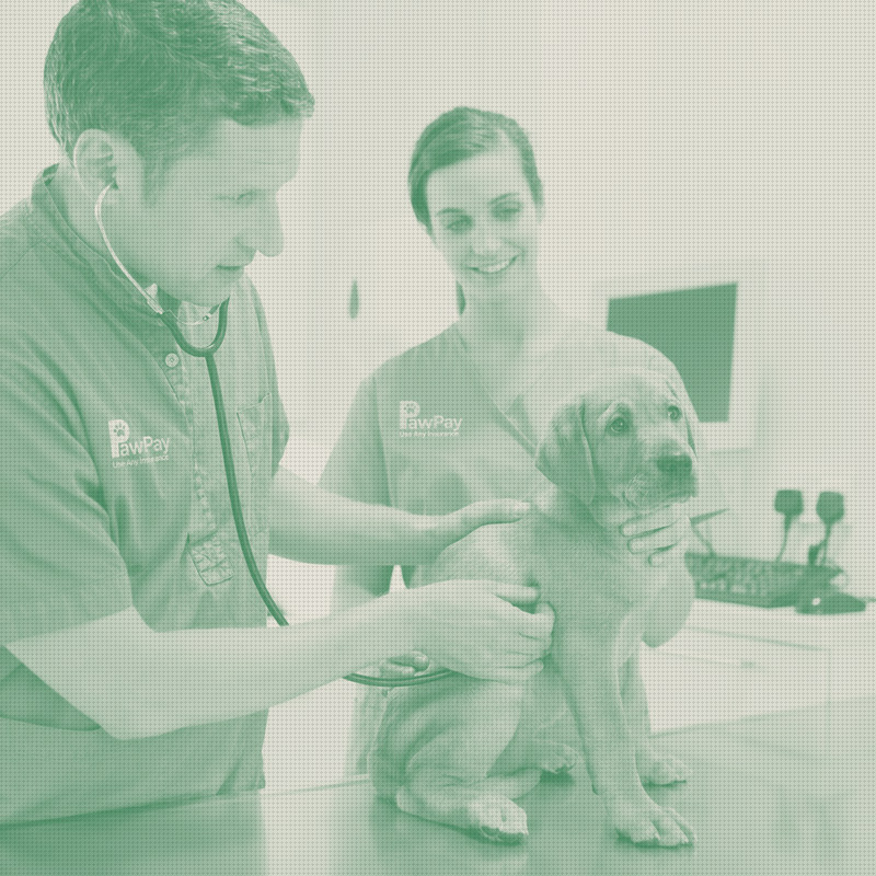 An Angel Network of Vets Backs a Platform That Pays the Clinic Before the Client Leaves