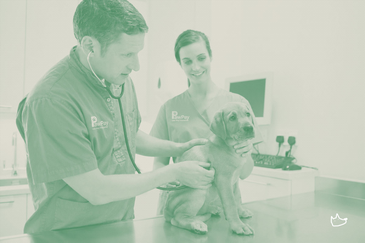 An Angel Network of Vets Backs a Platform That Pays the Clinic Before the Client Leaves