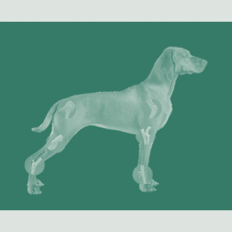 PetVivo's Joint Solution Clears a Key Credibility Hurdle With Peer-Reviewed Publication