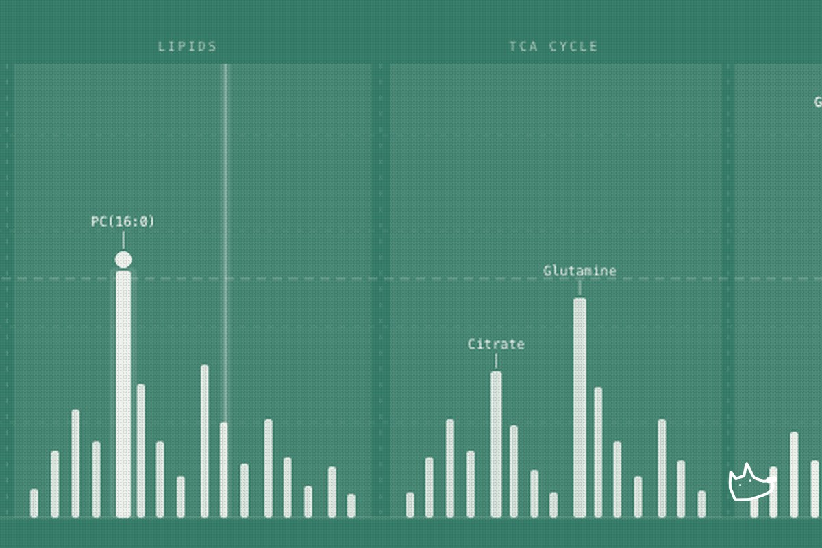 A Dog Blood Test That Reads Several Diseases at Once, Without a Sequencer