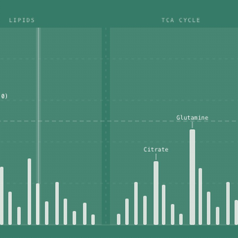 A Dog Blood Test That Reads Several Diseases at Once, Without a Sequencer
