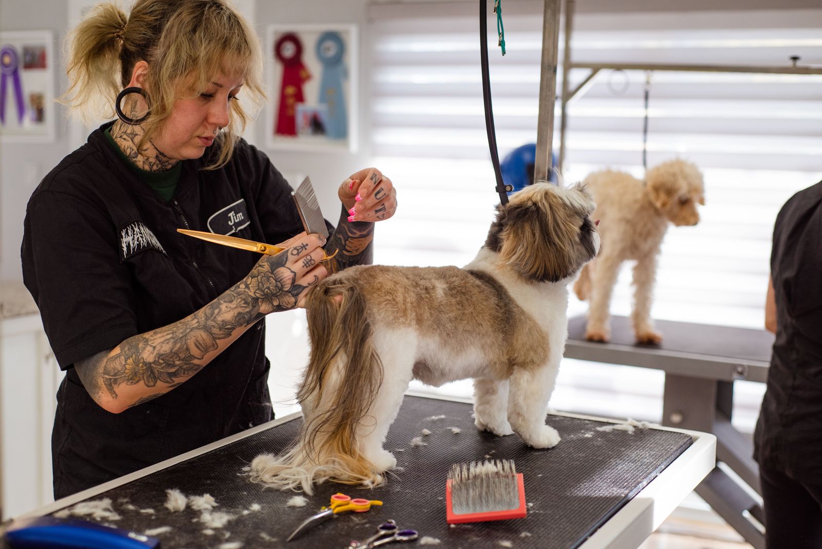 A professional groomer trims a Shih Tzu's coat on a grooming table while a second dog waits, illustrating the labor-intensive nature of grooming franchises