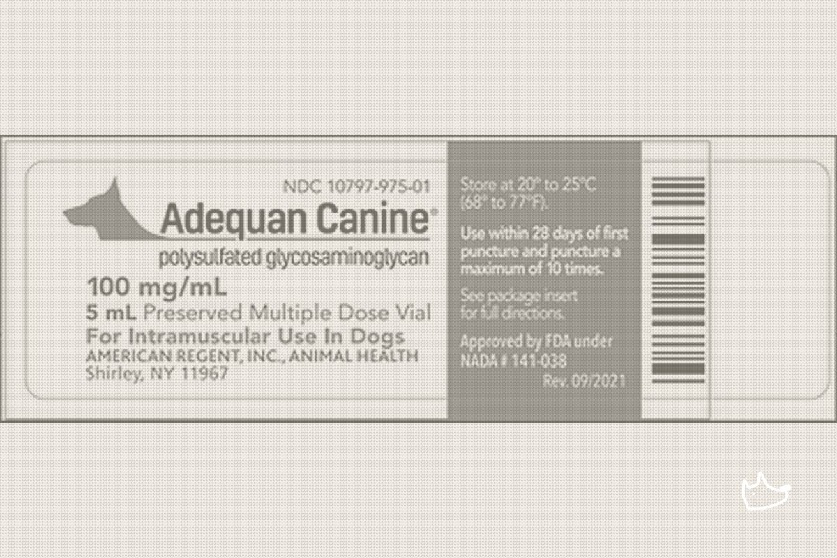 Adequan Recall Strips Vets of Their Only FDA-Approved Joint Drug