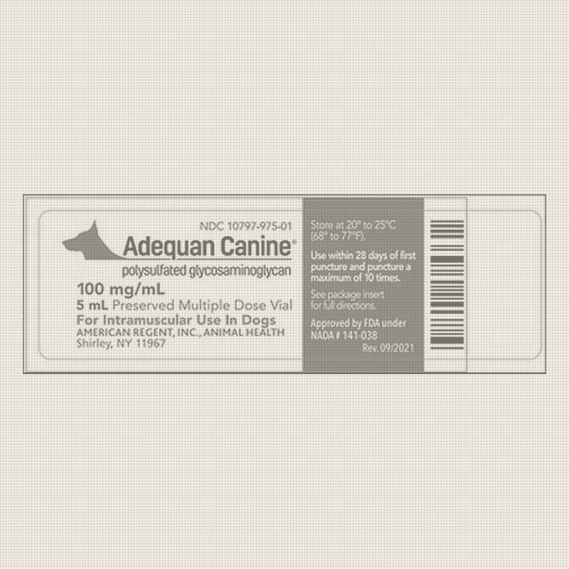 Adequan Recall Strips Vets of Their Only FDA-Approved Joint Drug