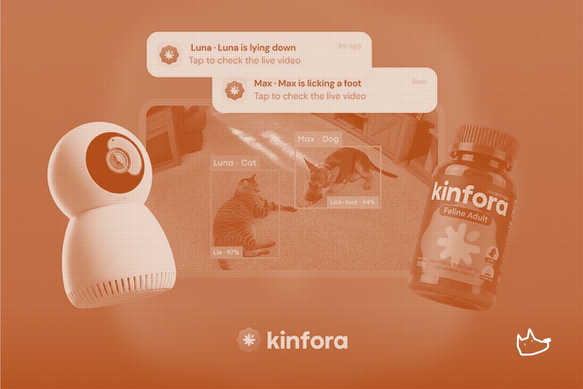 LIMPID's Kinfora Store Goes Live, But the US Numbers Are Still Missing