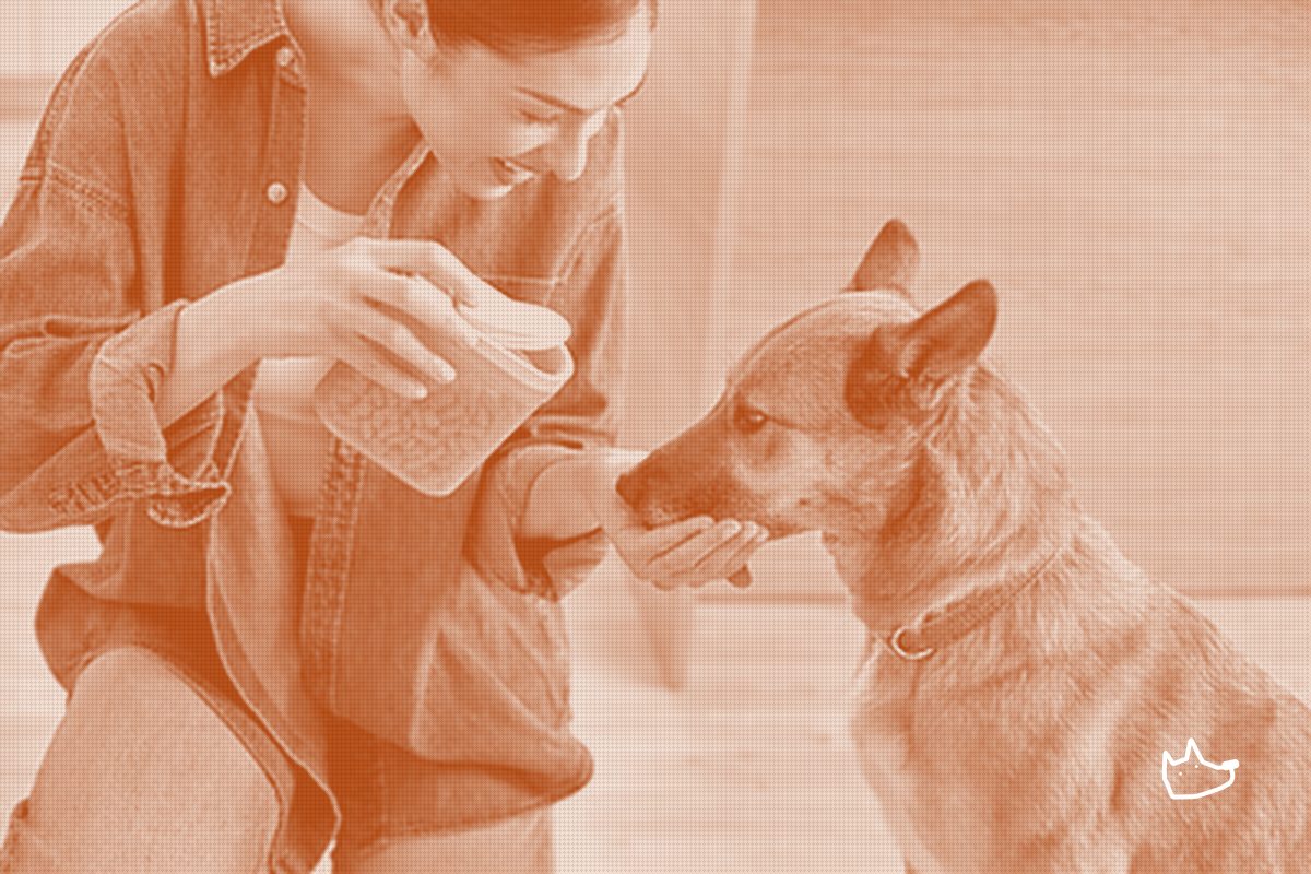 A Kitchen Brand Just Entered the Pet Aisle