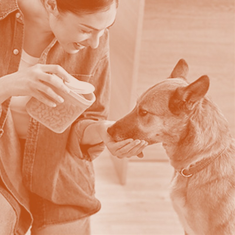 A Kitchen Brand Just Entered the Pet Aisle