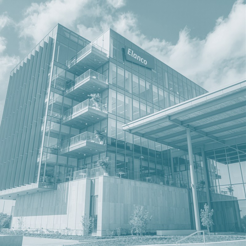 Elanco Raises Guidance for Second Straight Quarter