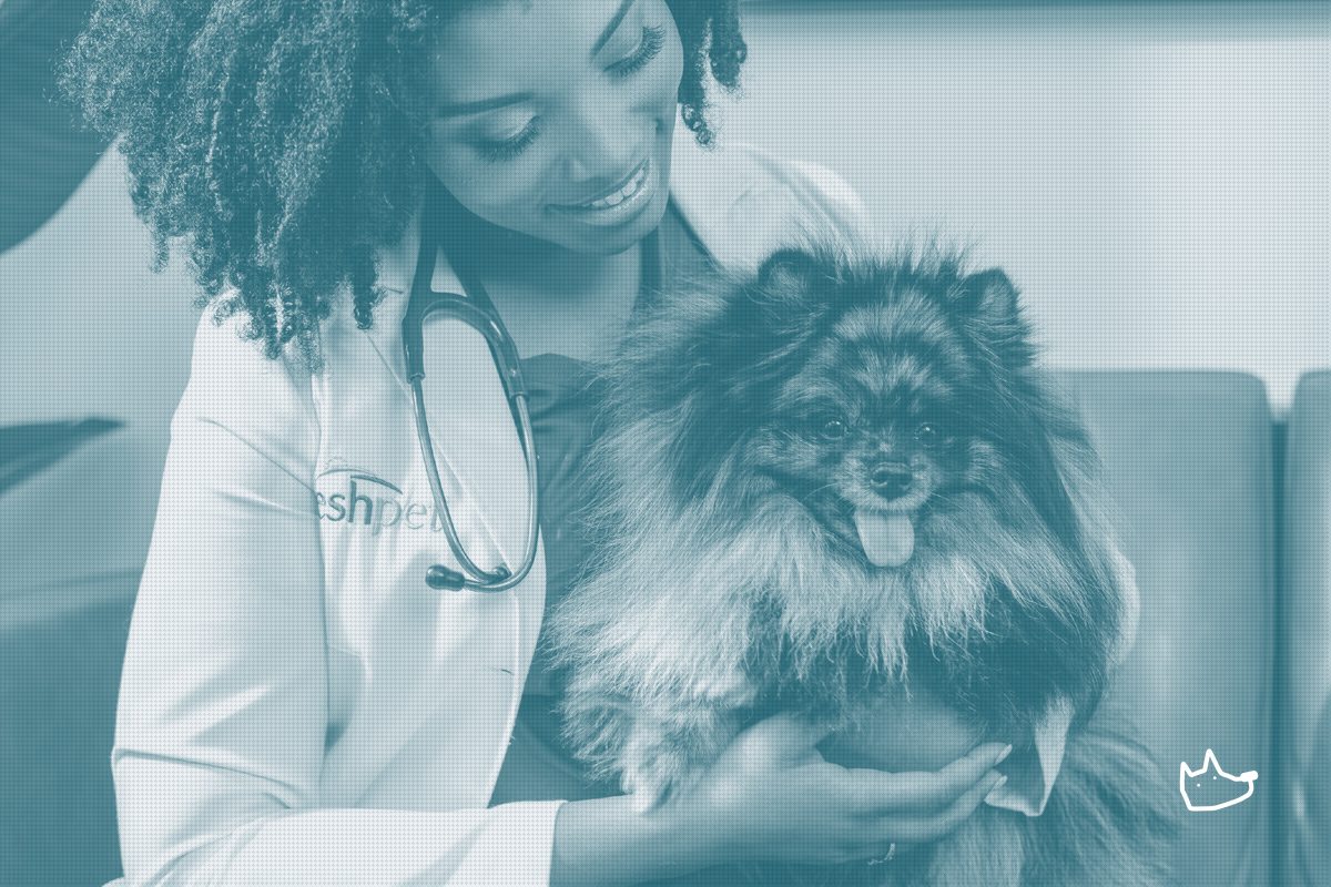 Freshpet Raises 2026 Guidance as Fresh Pet Food Keeps Outrunning the Category