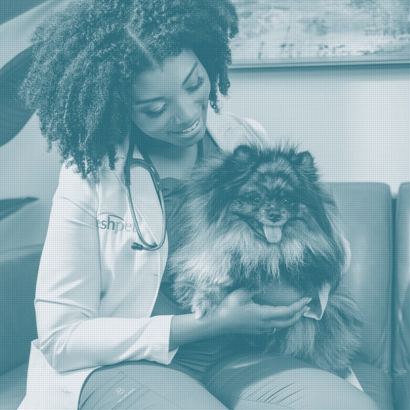 Freshpet Raises 2026 Guidance as Fresh Pet Food Keeps Outrunning the Category