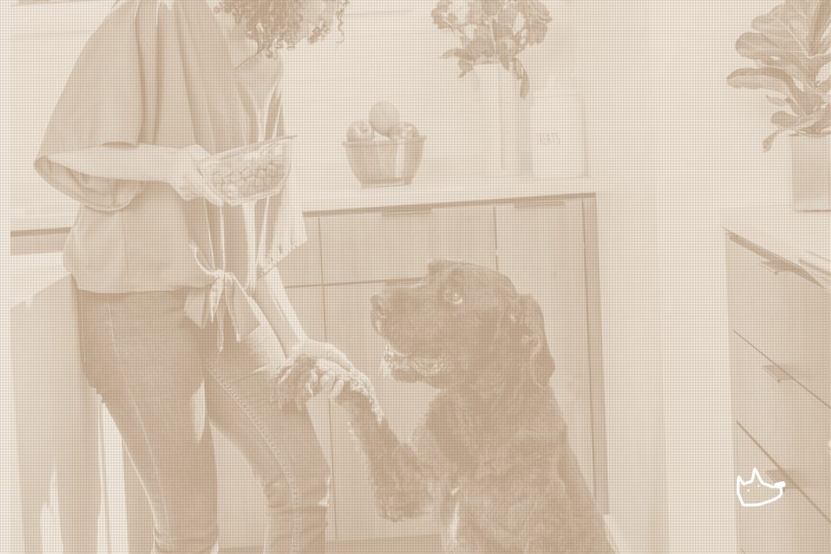 A Third CEO Change Hits Pet Food in Three Weeks