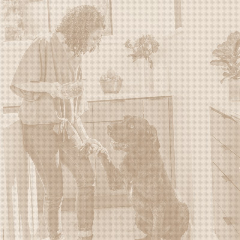 A Third CEO Change Hits Pet Food in Three Weeks
