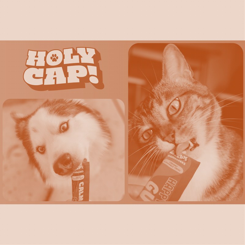 HOLY CAP Pushes Medicinal Mushrooms Into the Lickable-Treat Format Churu Owns