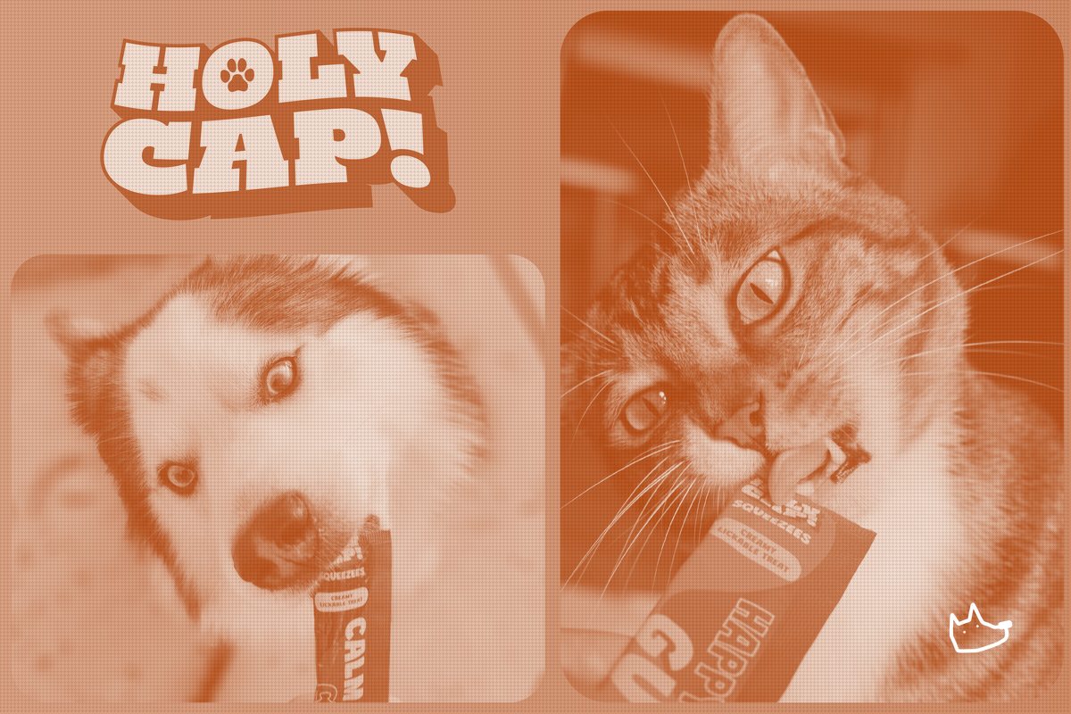 HOLY CAP Pushes Medicinal Mushrooms Into the Lickable-Treat Format Churu Owns
