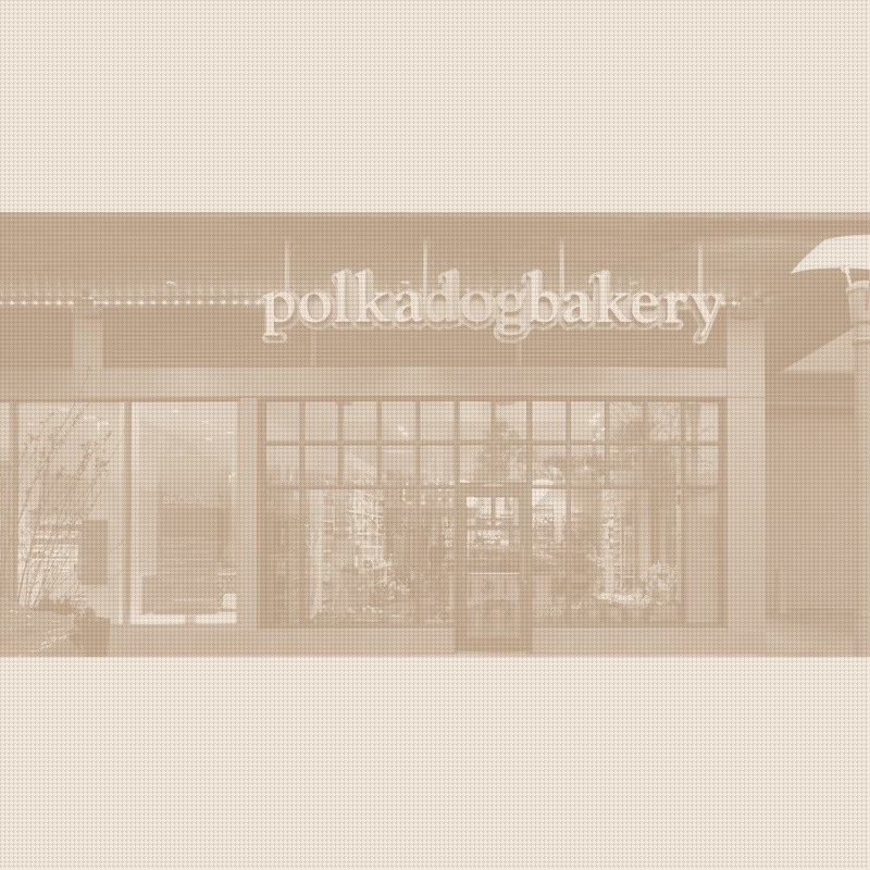 Polkadog Names Jay Pusey CEO, Ten Weeks Into TAW Ventures Ownership